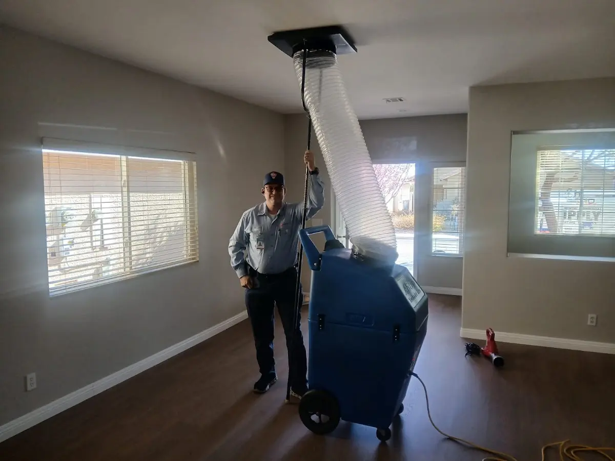 Professional Emergency HVAC Repair work inside a Wood Dale home